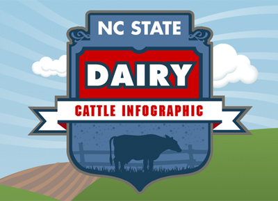 NCSU ANS231 Dairy Cattle Infographic